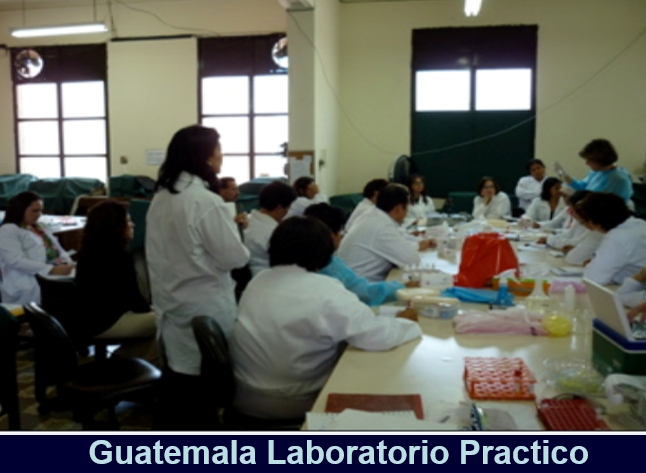 Curso Educacional Laboratorio ISTH Grupo CLAHT Guatemala
