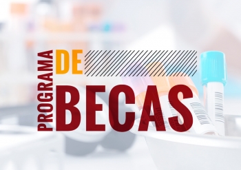Llamado Becas 2019 - 2020
